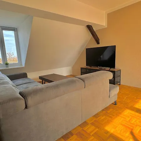 Appartement Nulandtarea - 36 Betten In Voll Ausgestatteten Merseburg